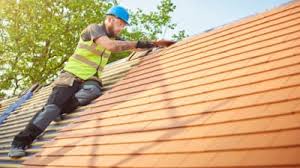 Best Roof Maintenance and Cleaning  in Nottingham, PA